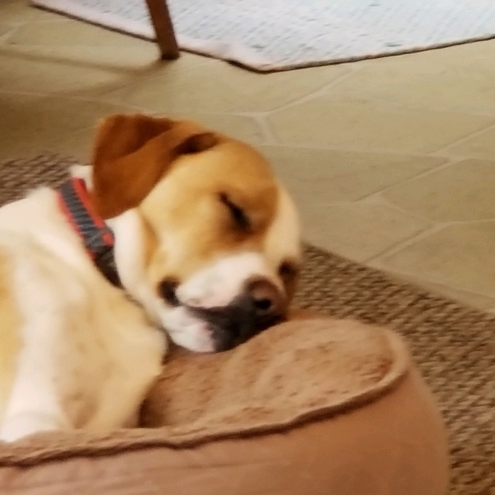 Meet your Posher, Linda